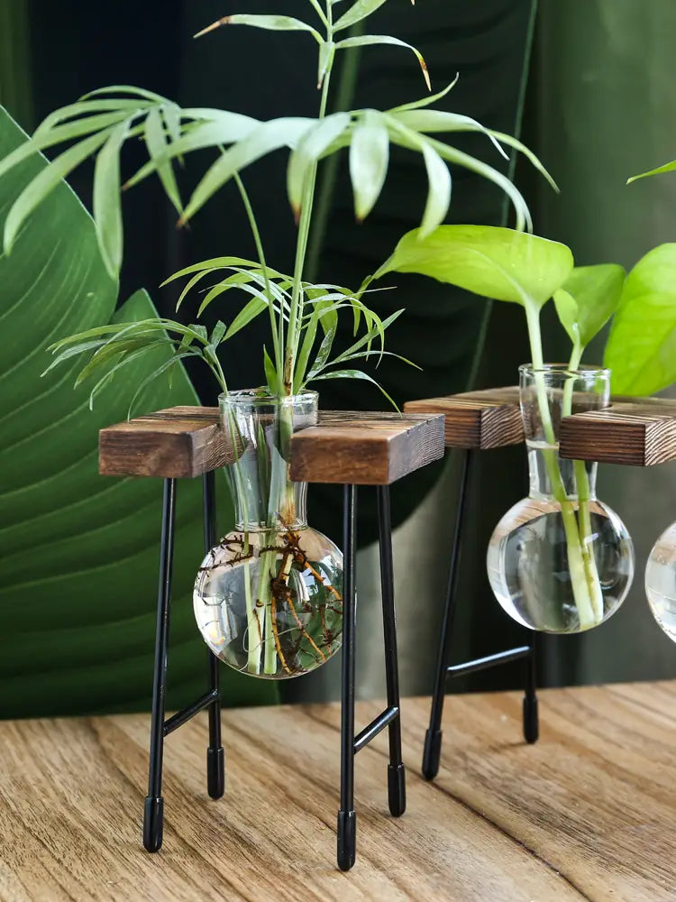 Transparent Glass Hydroponic Vase - Modern Minimalist