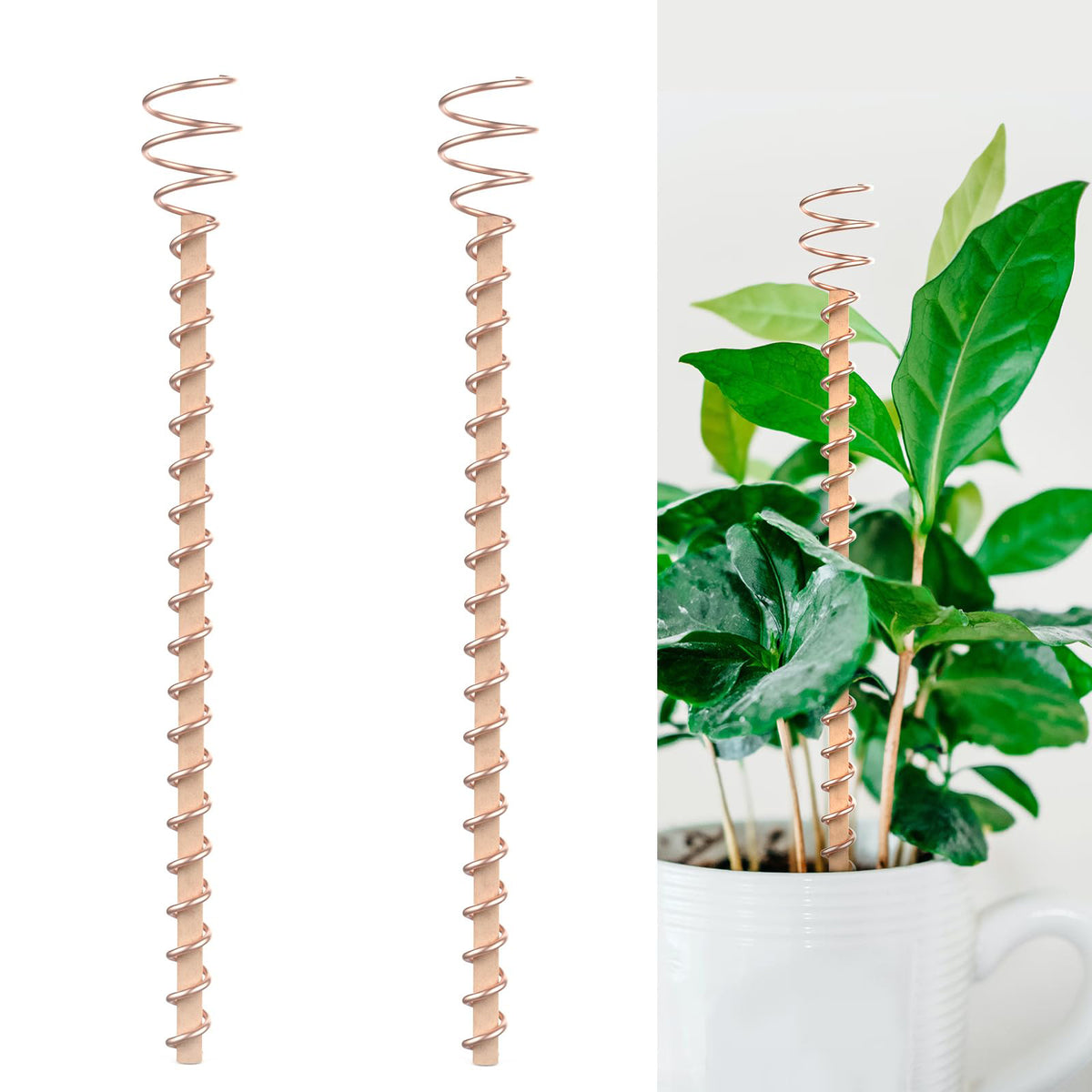Copper-Tone Wire Coil Garden Stake