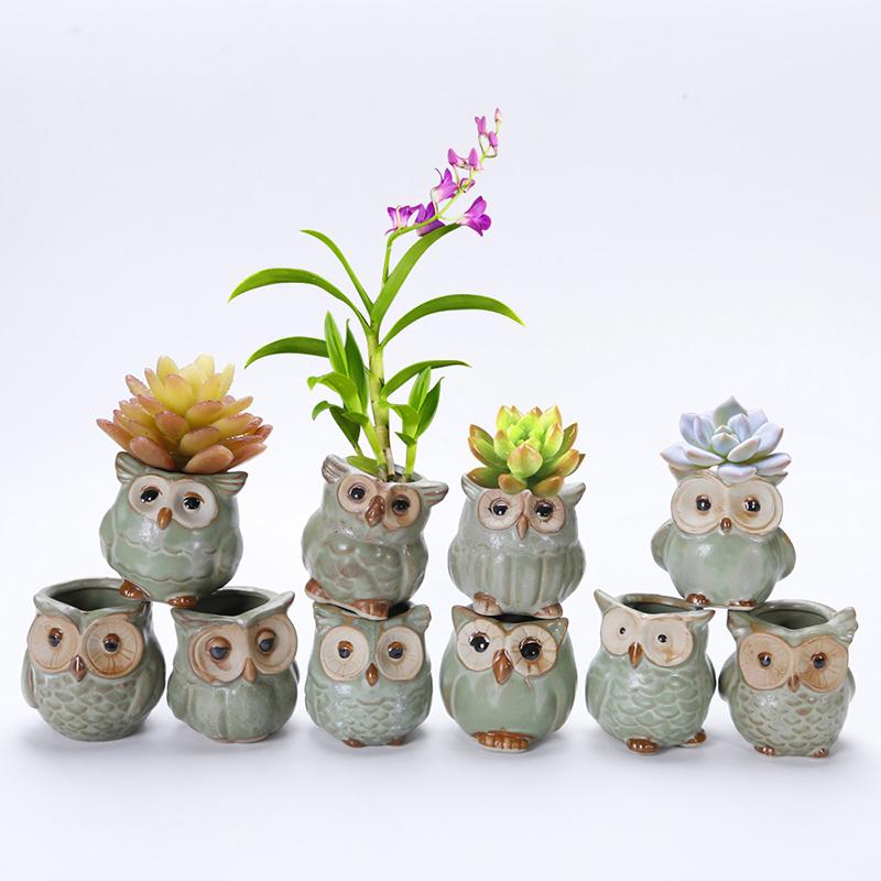 Mini Animal Succulent Ceramic Pots