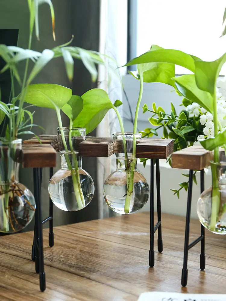 Transparent Glass Hydroponic Vase - Modern Minimalist