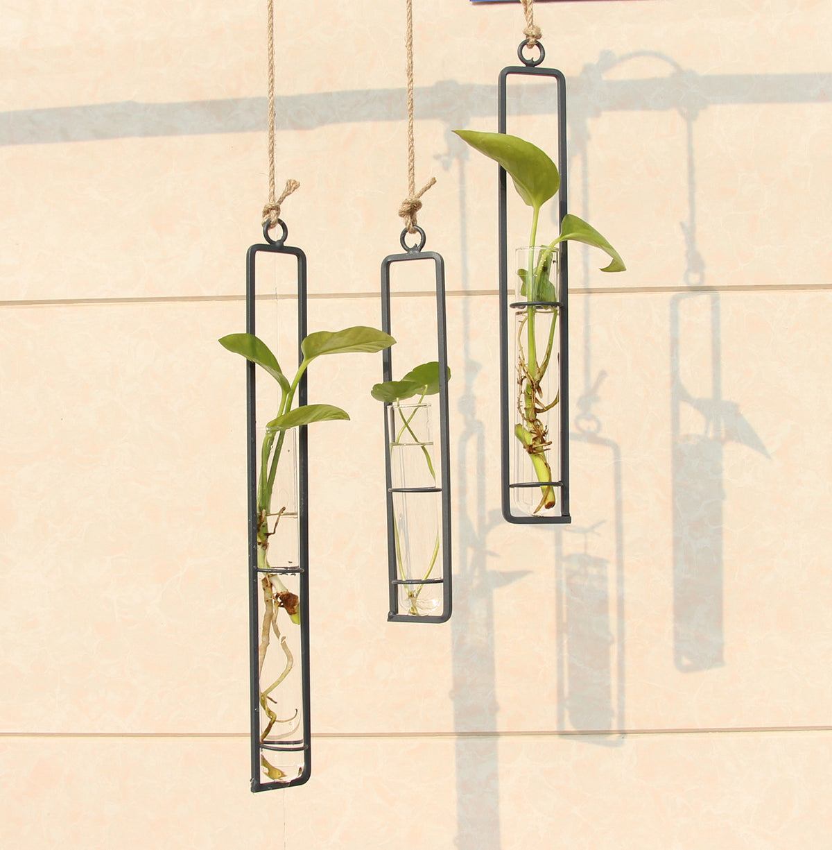 Hanging Glass Test-Tube Vase with Metal Frame