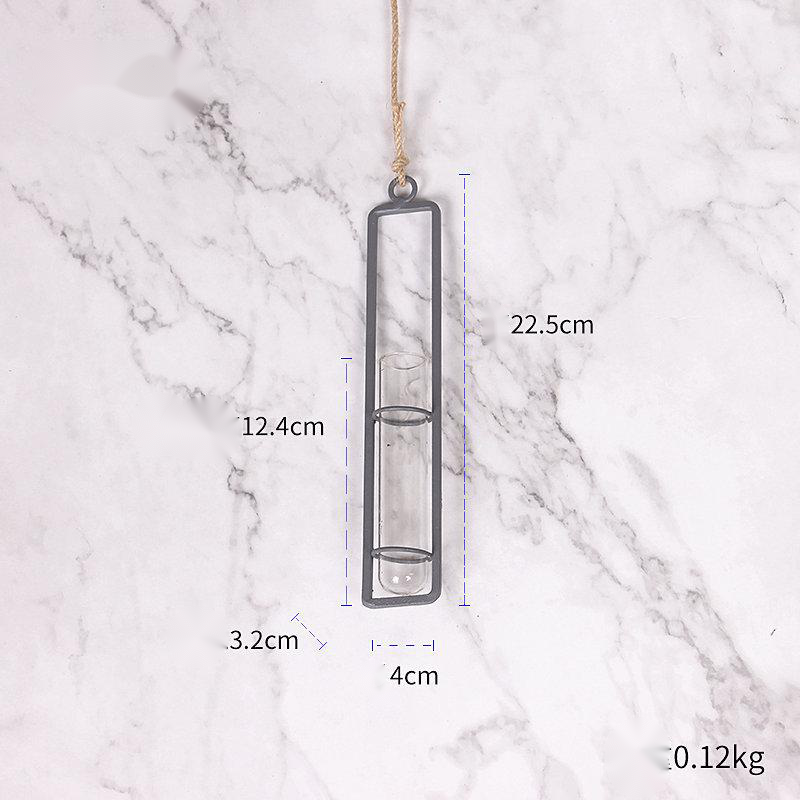 Hanging Glass Test-Tube Vase with Metal Frame
