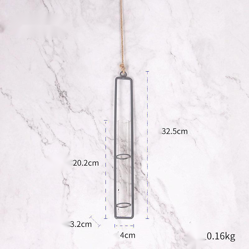 Hanging Glass Test-Tube Vase with Metal Frame
