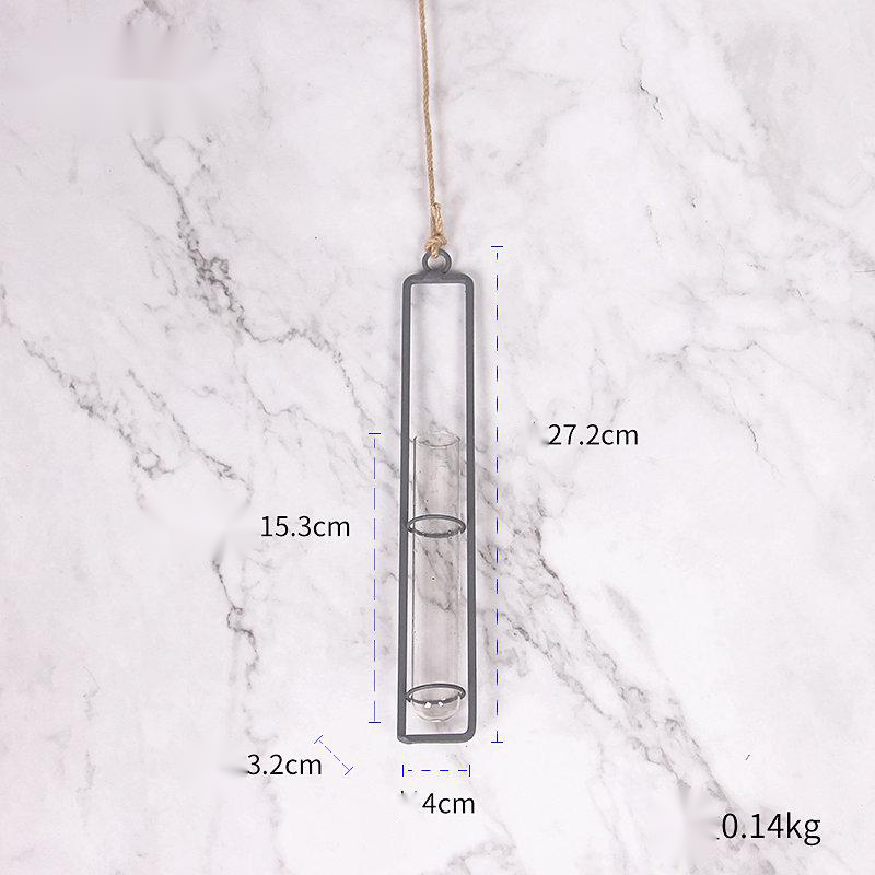 Hanging Glass Test-Tube Vase with Metal Frame
