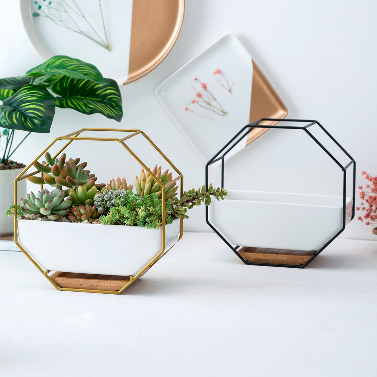 Octagonal metal-frame wall planter with white ceramic pot, gold-tone and black frames, wood-look base tray, shown on a white