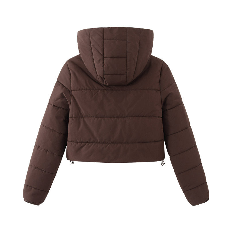 Coffee brown cropped hooded puffer jacket, flat lay back view, showing quilted hood