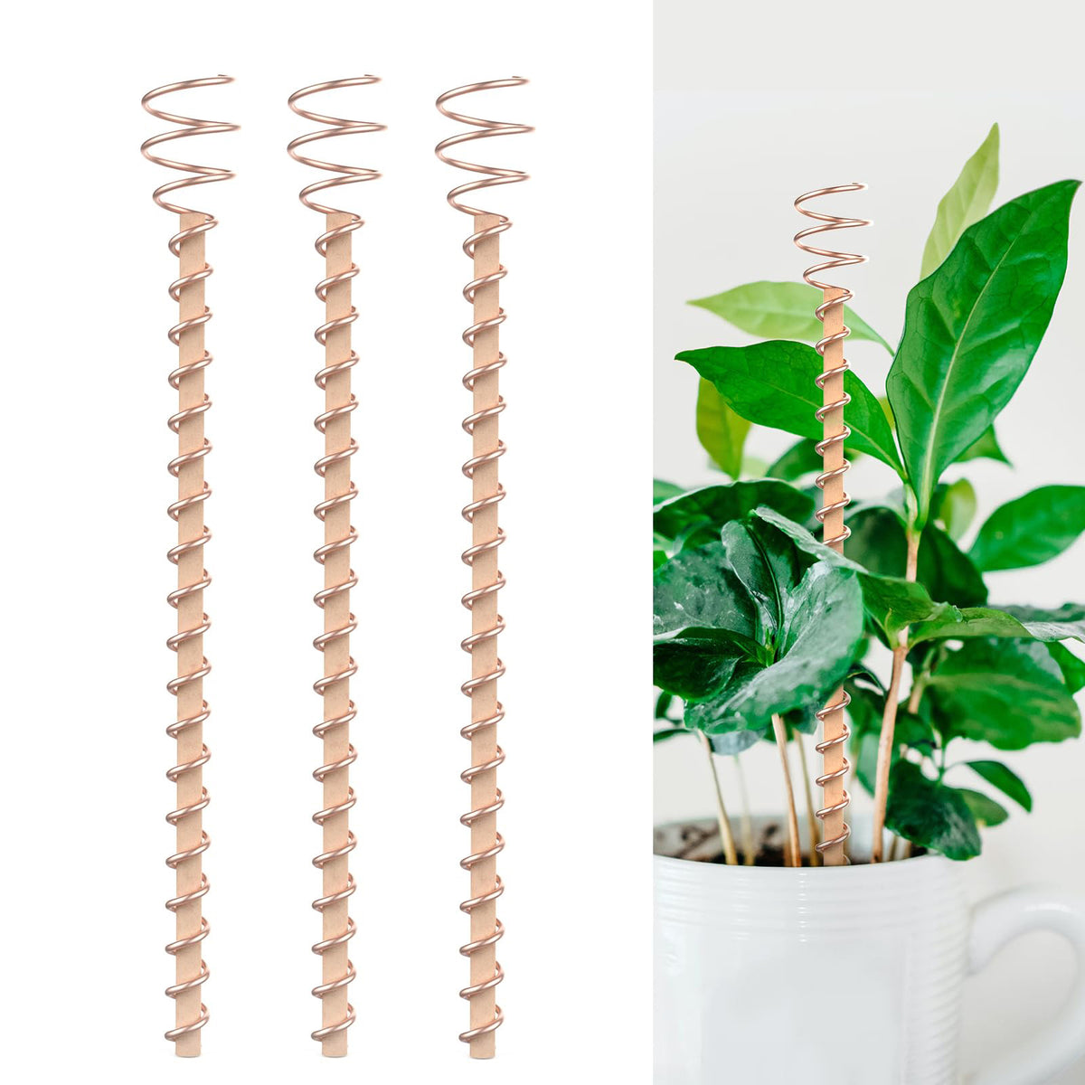 Copper-Tone Wire Coil Garden Stake