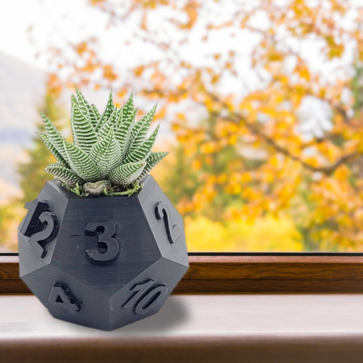 Multi-Sided Dice-Shape Succulent Planter — view 10