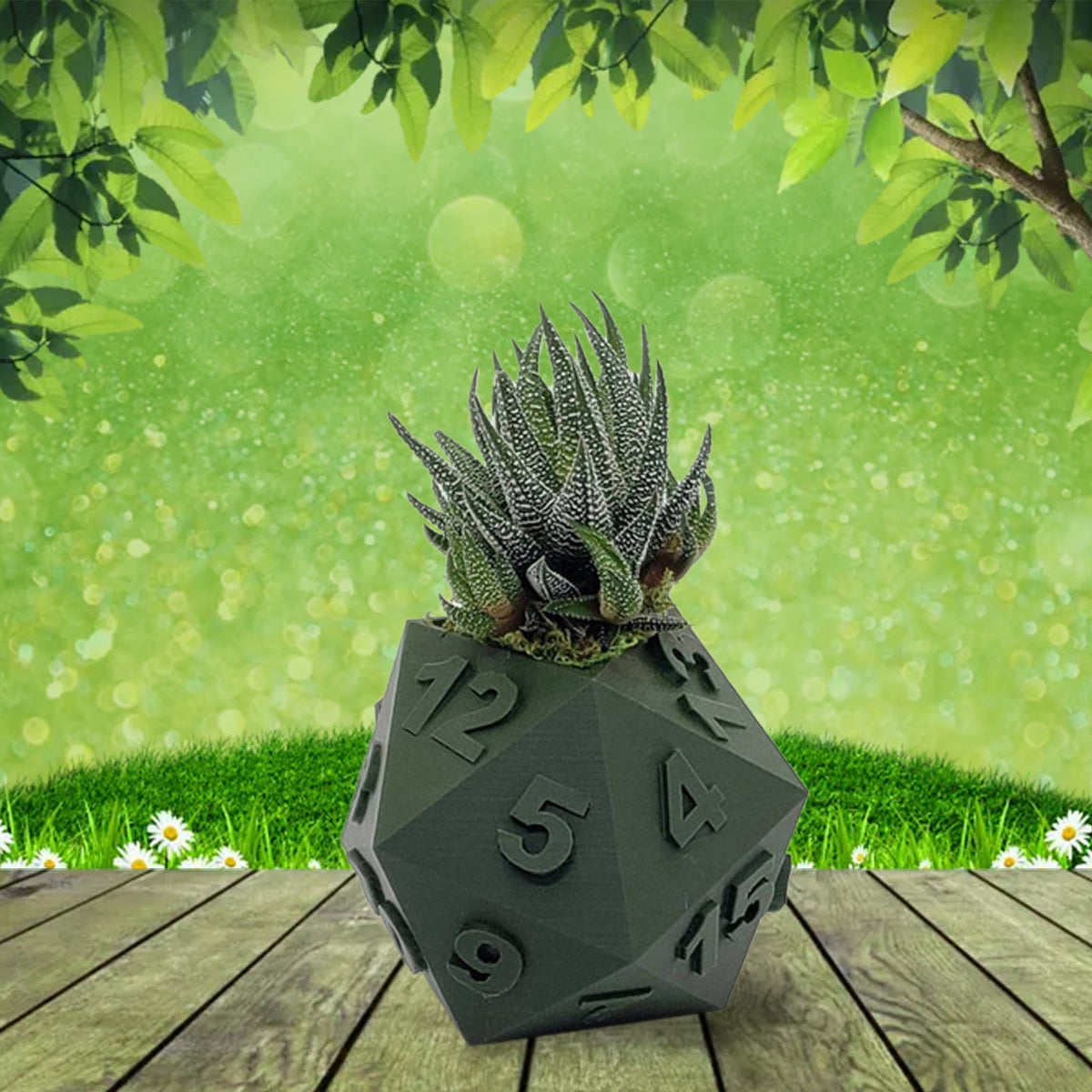 Multi-Sided Dice-Shape Succulent Planter — view 12