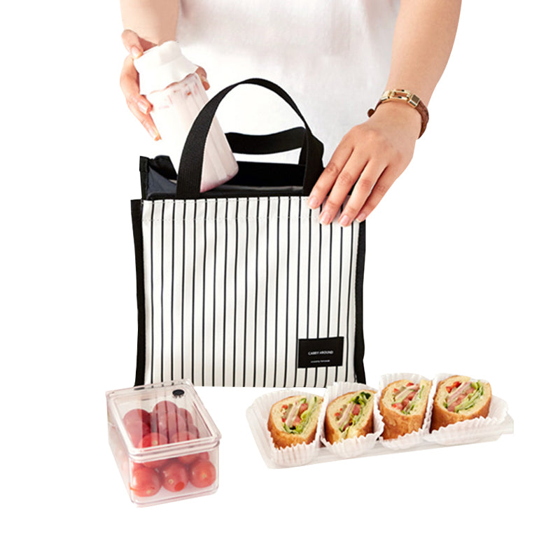 Mini Insulated Lunch Bag