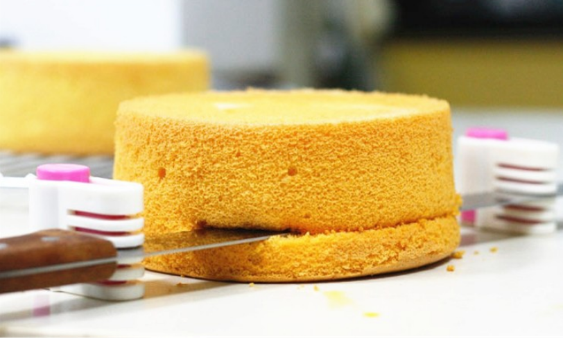 Professional Cake Slicer & Layer Divider Tool