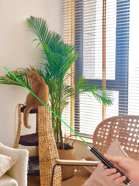 3 Packs 900Mile Laser Pointer Pen Green Blue Red Light Visible Beam - Wow Store