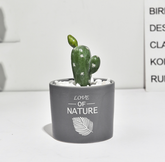 Mini Cactus Ceramic Faux Plant - Nordic Green