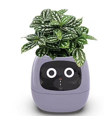 AI Interactive Smart Planter