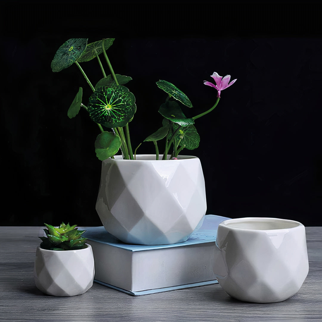 Geo Rounded Trio Ceramic Planter Set