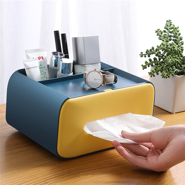 Desktop Storage Box with Tissue Compartment