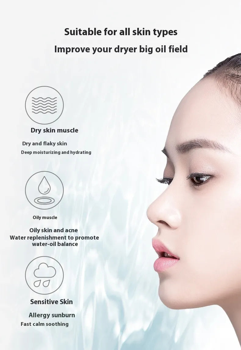 Rechargeable Hydrating Mist Sprayer