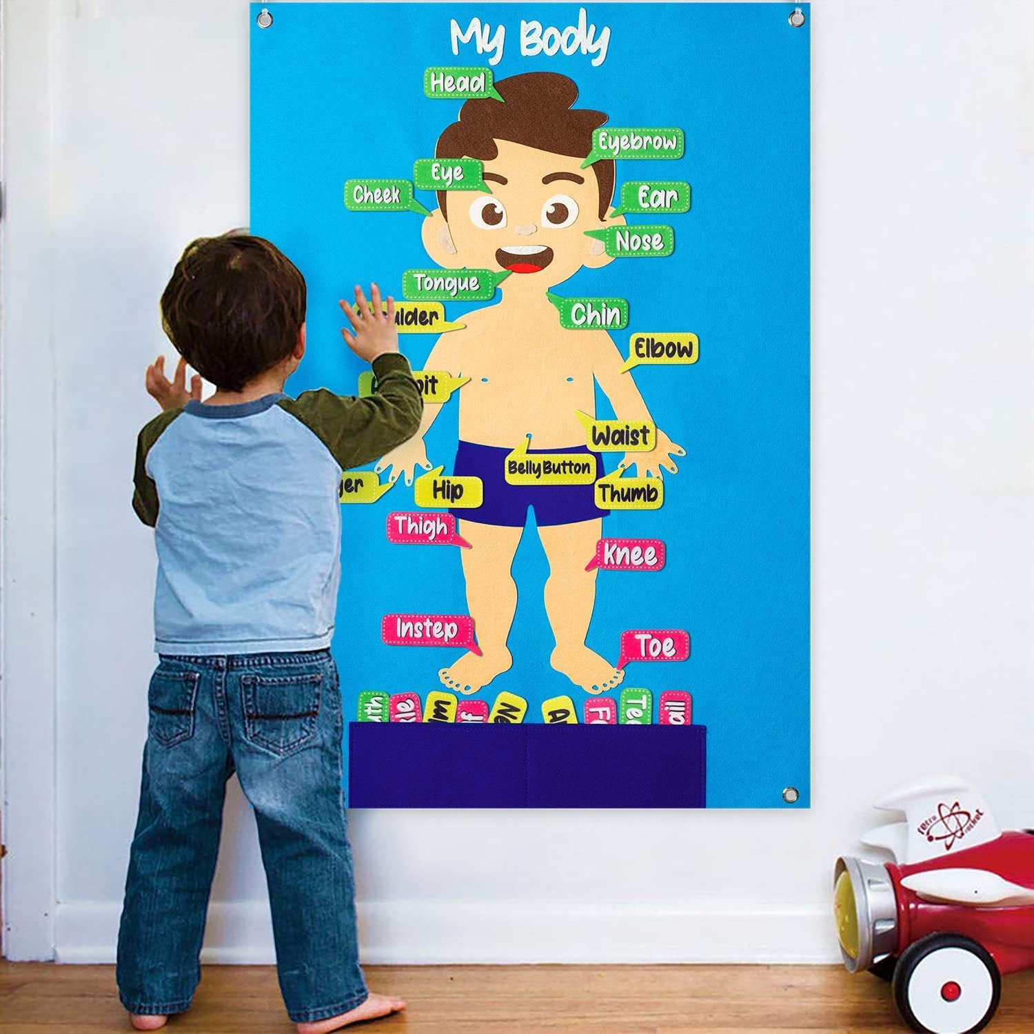 Premium Educational Felt Storyboard