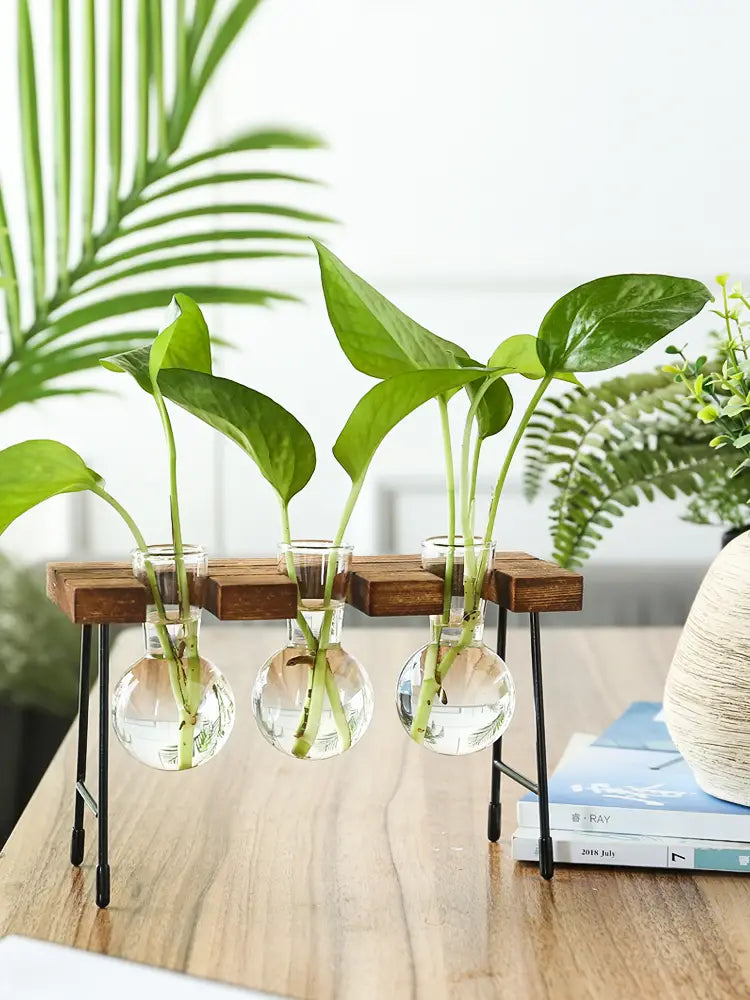 Transparent Glass Hydroponic Vase - Modern Minimalist