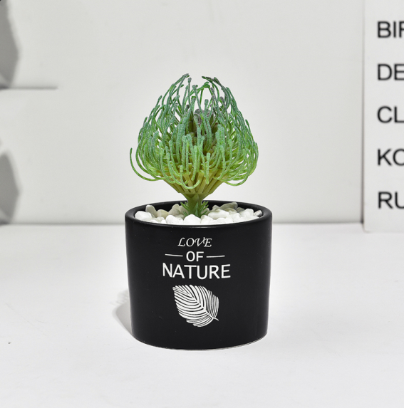 Mini Cactus Ceramic Faux Plant - Nordic Green