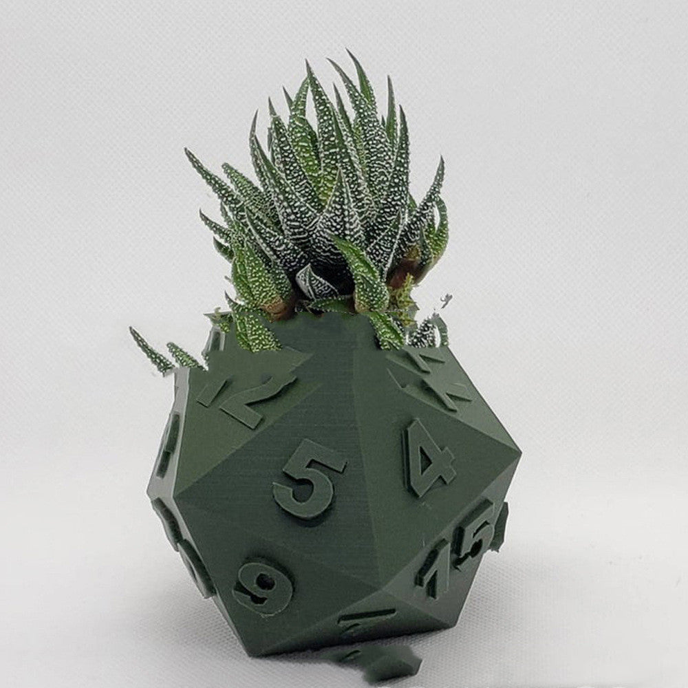 Multi-Sided Dice-Shape Succulent Planter in dark green, with numbers and spiky succulent, close-up view