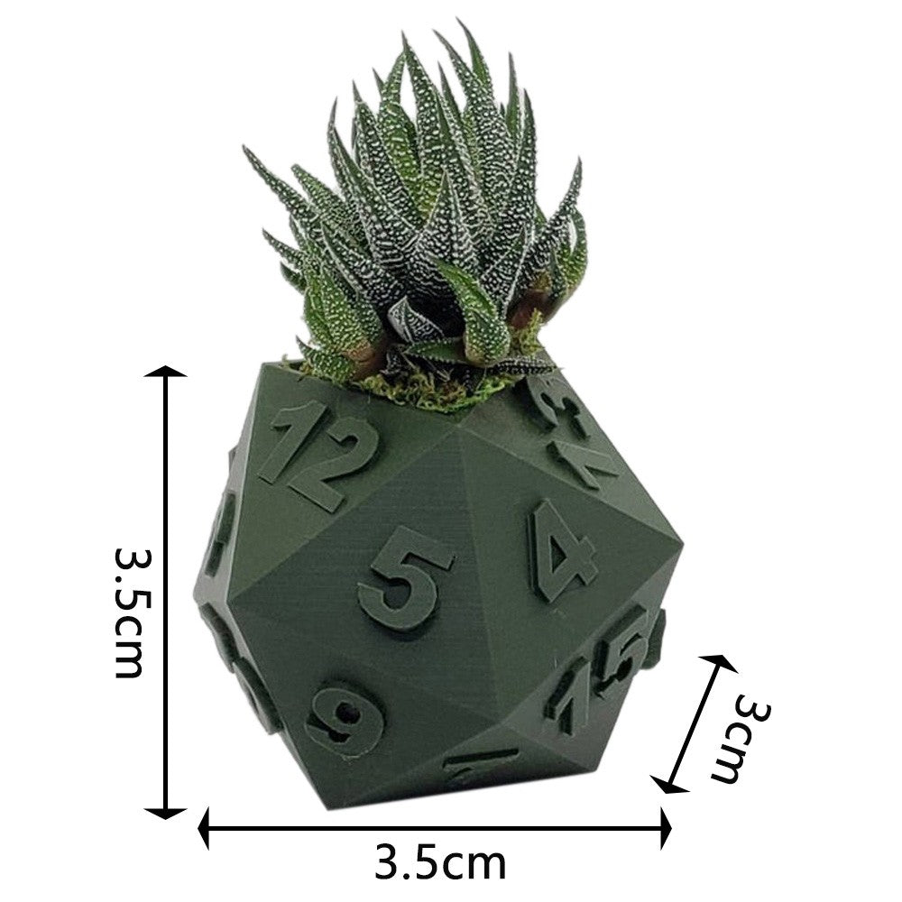 Multi-Sided Dice-Shape Succulent Planter — view 3