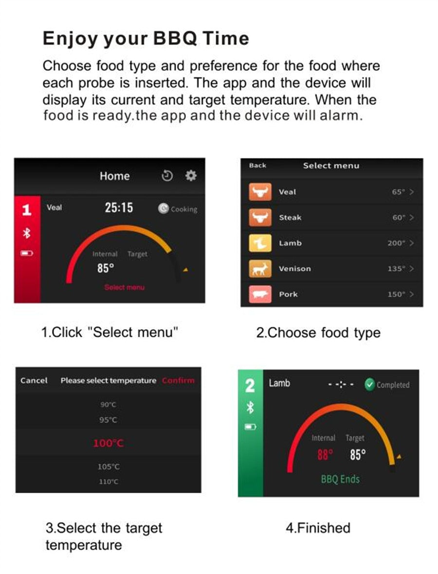 Precision Wireless Food Thermometer