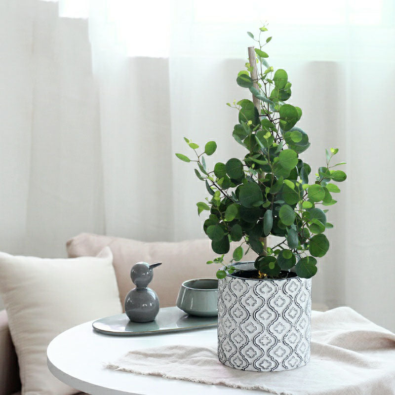 Vintage Luxury Plant Pot with Patterned Design