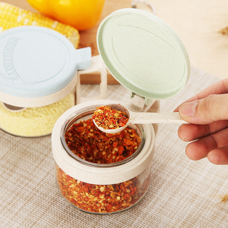 Elegant Glass Spice Jar Set