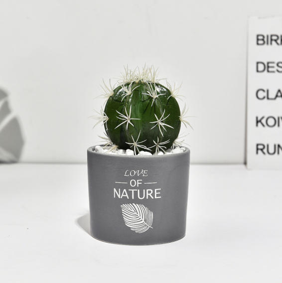 Mini Cactus Ceramic Faux Plant - Nordic Green