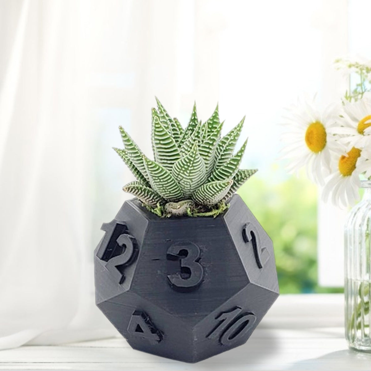 Multi-Sided Dice-Shape Succulent Planter — view 2