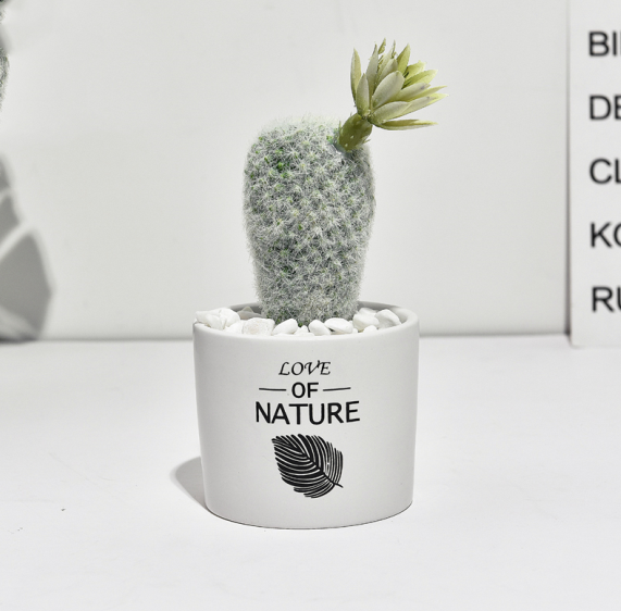 Mini Cactus Ceramic Faux Plant - Nordic Green