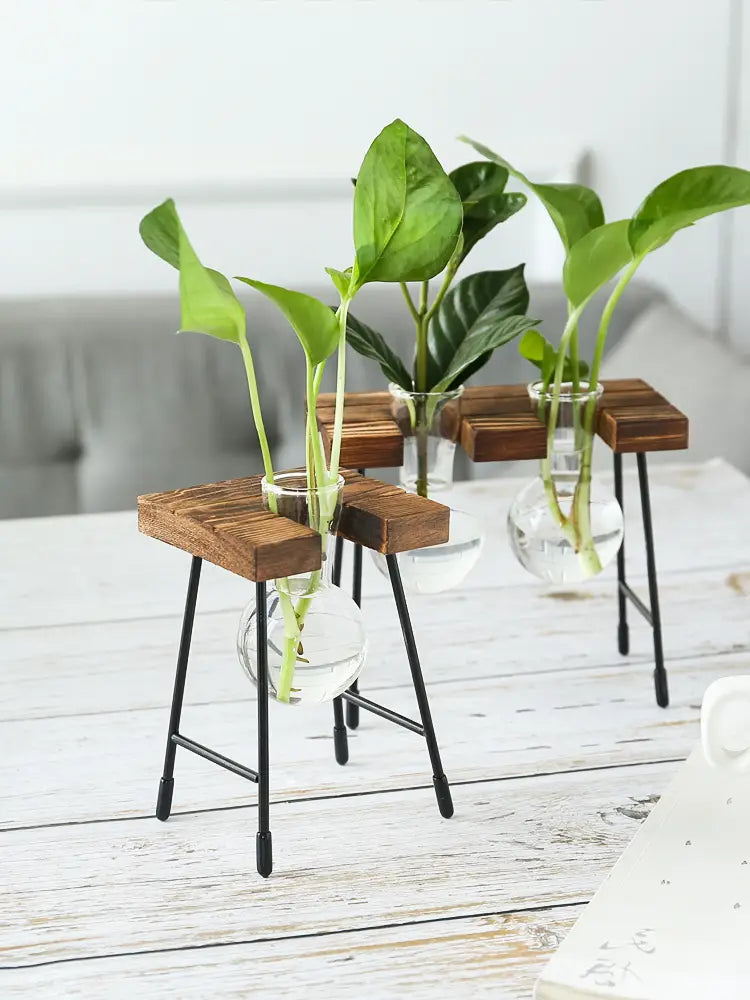 Transparent Glass Hydroponic Vase - Modern Minimalist