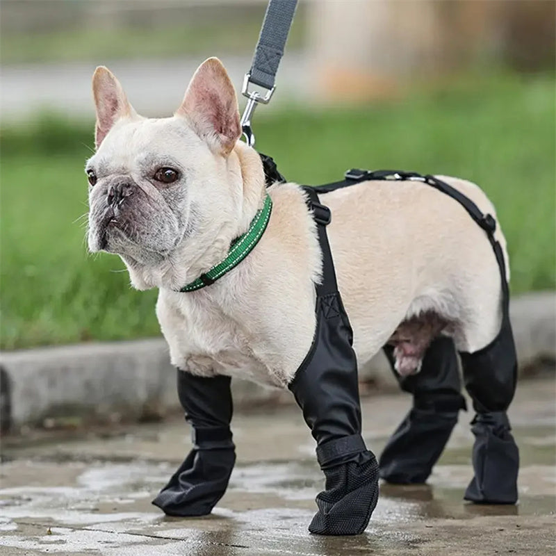 Dog Boots with Suspender Straps