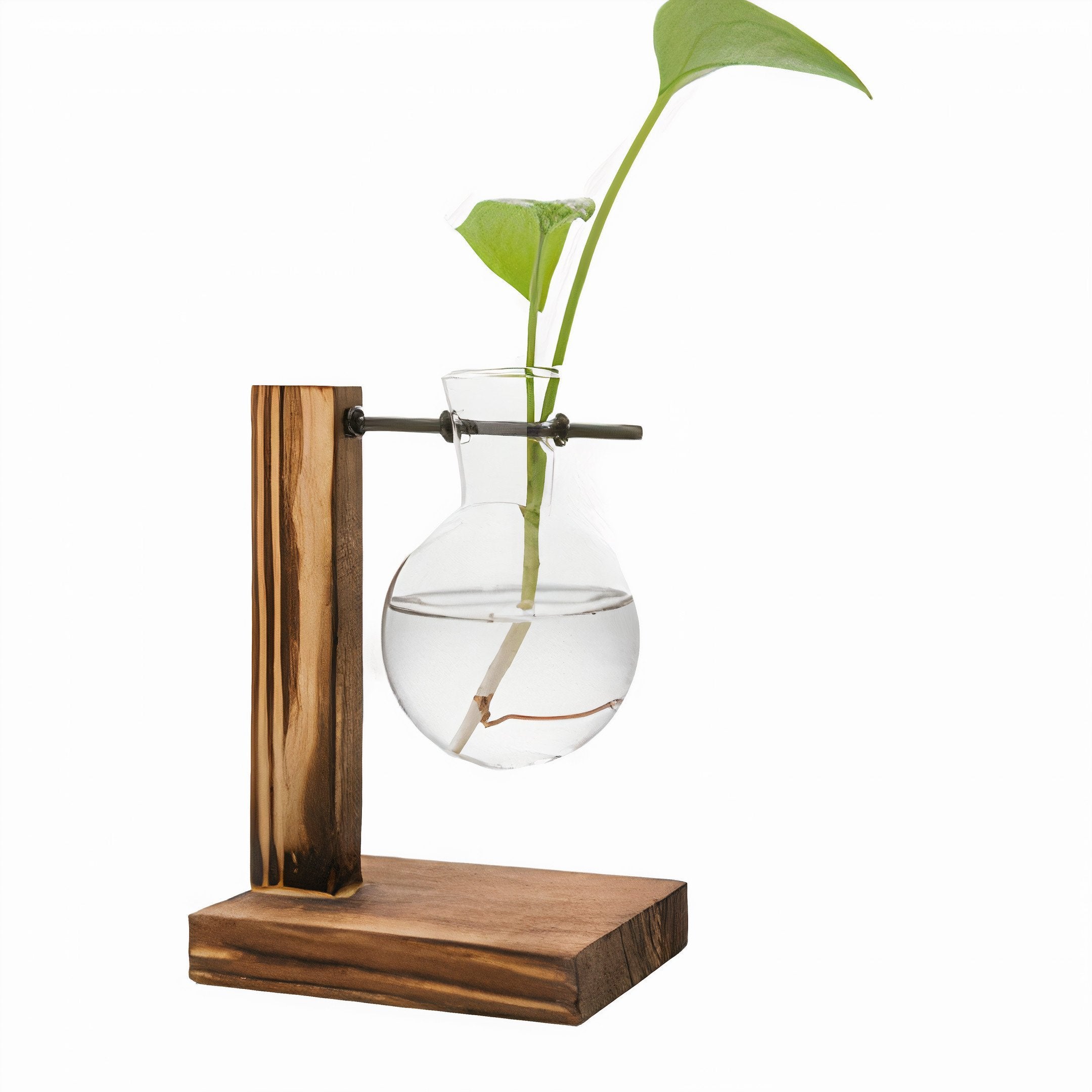 Vintage Handblown Double Glass Vase with Wood Stand