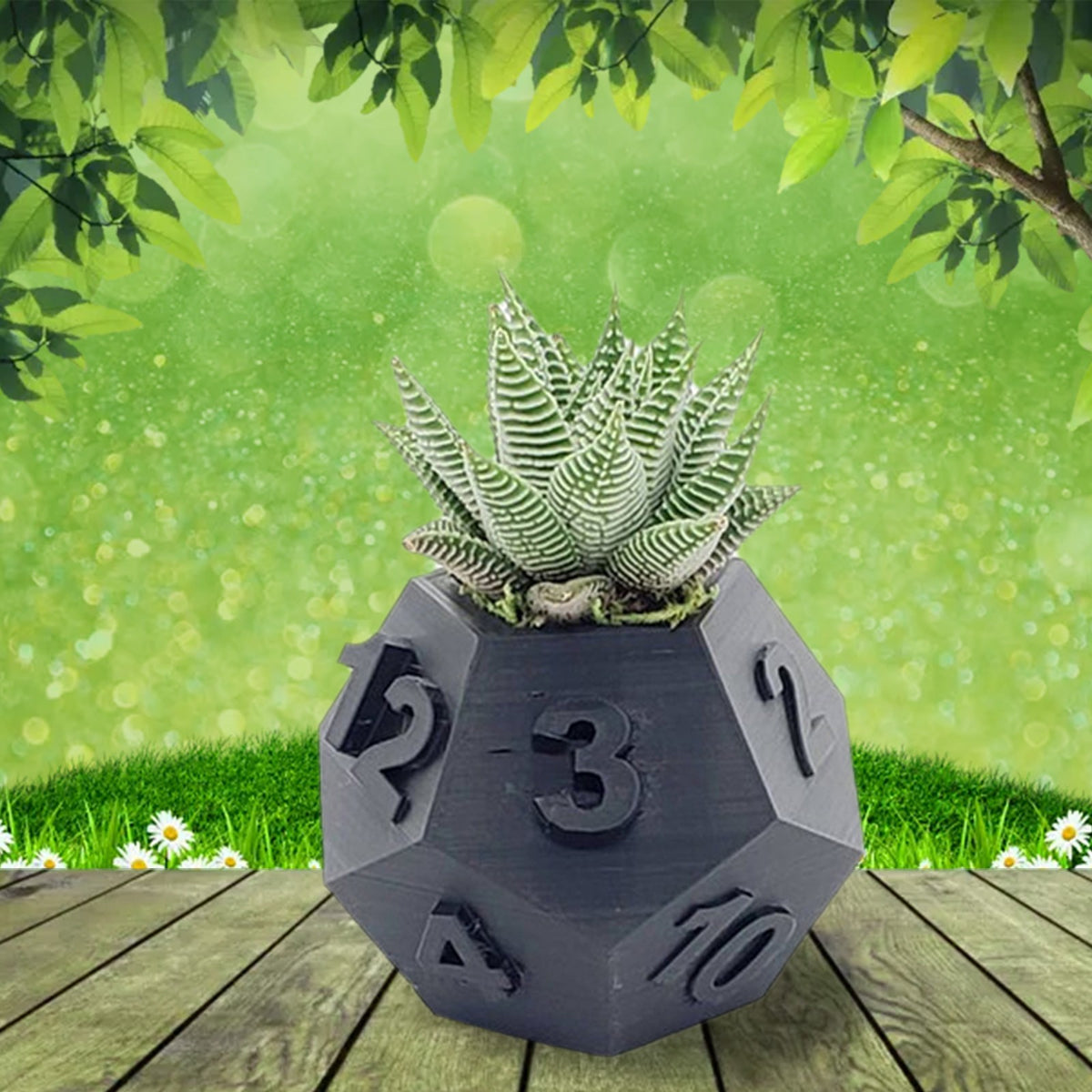 Multi-Sided Dice-Shape Succulent Planter — view 11
