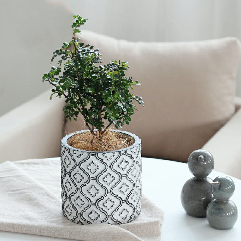 Vintage Luxury Plant Pot with Patterned Design