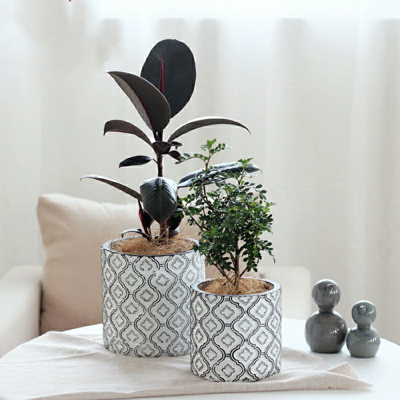 Vintage Luxury Plant Pot with Patterned Design