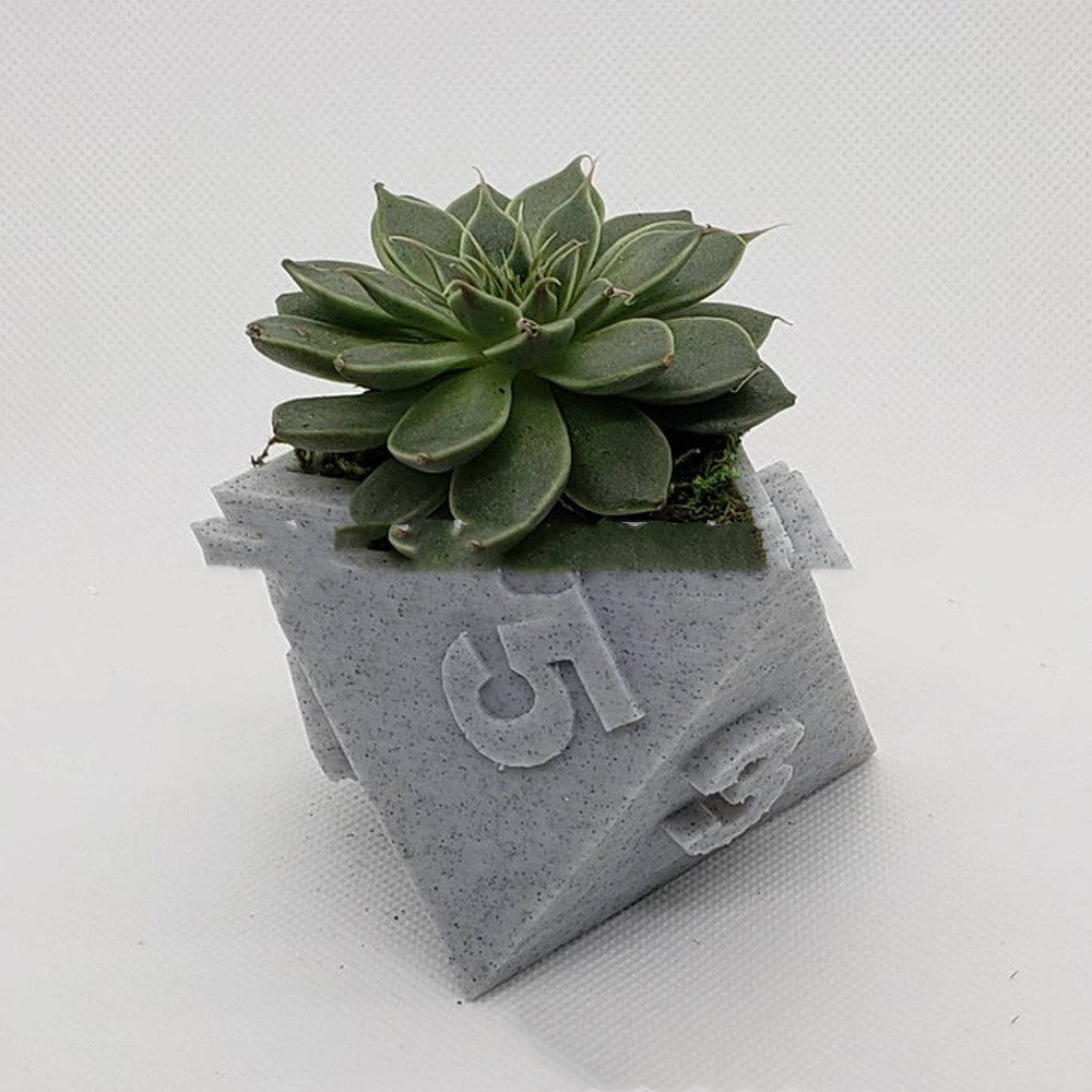 Multi-Sided Dice-Shape Succulent Planter in light grey, with numbers and rosette succulent, front view