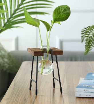 Transparent Glass Hydroponic Vase - Modern Minimalist