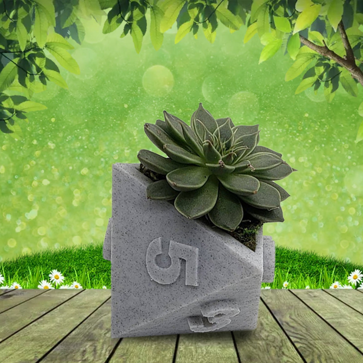 Multi-Sided Dice-Shape Succulent Planter — view 8