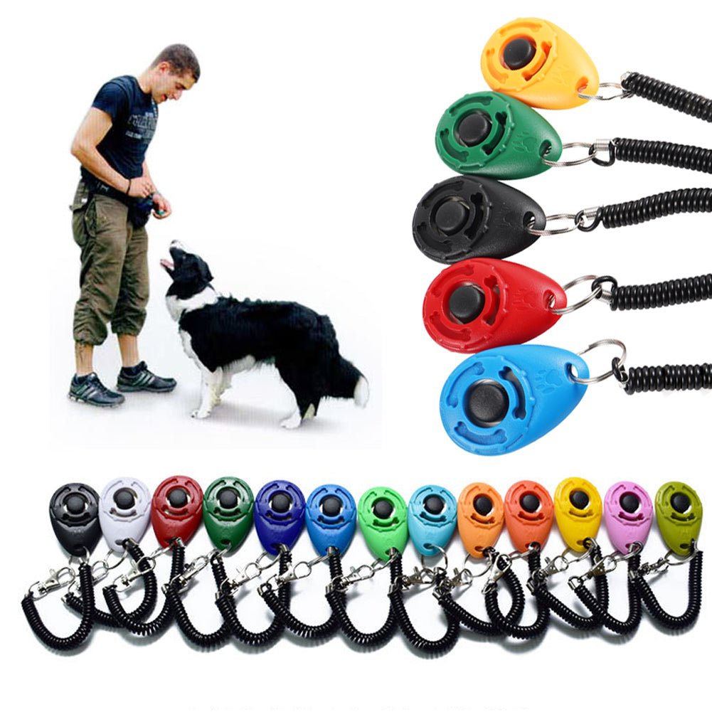Adjustable Dog Training Clicker with Keychain Strap - WowStore.live