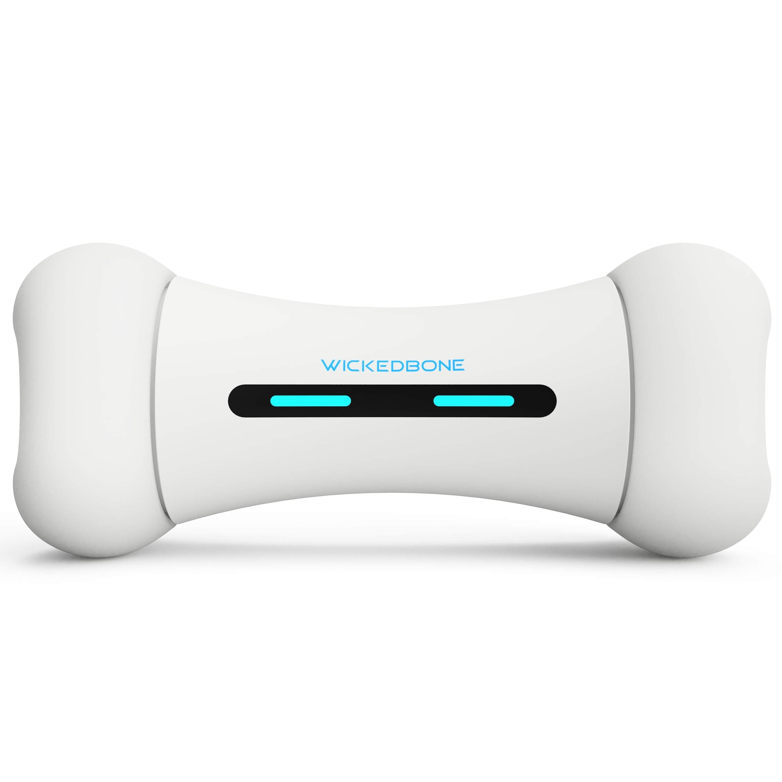 Smart Interactive Pet Companion Toy