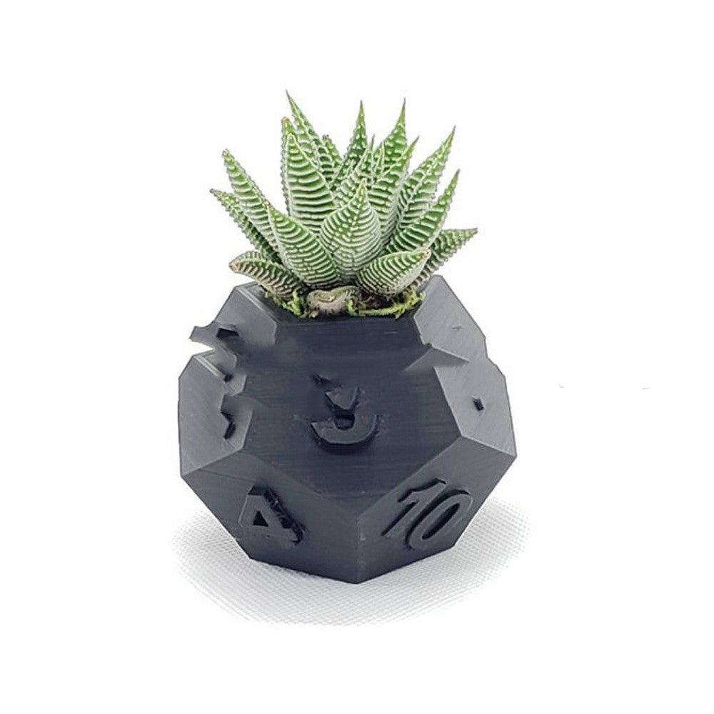 Multi-Sided Dice-Shape Succulent Planter in black, with numbers and striped succulent, front view