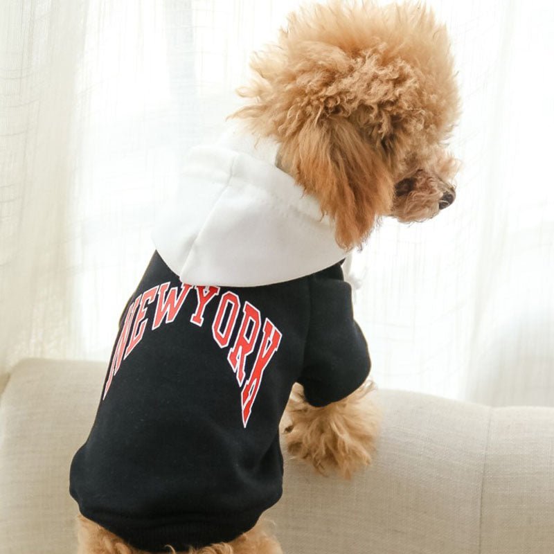 Casual Hooded Sweatshirt for Pets in Terry Cotton - WowStore.live