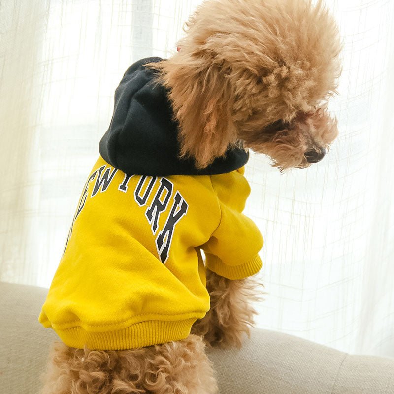 Casual Hooded Sweatshirt for Pets in Terry Cotton - WowStore.live