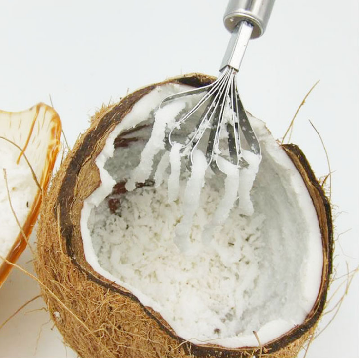Stainless Steel Coconut & Fish Scales Peeler