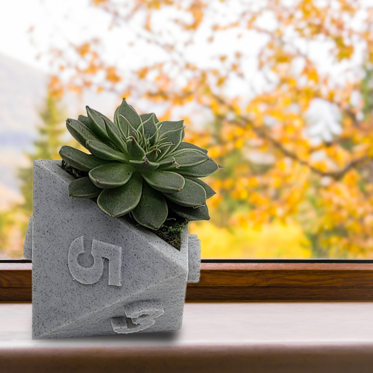 Multi-Sided Dice-Shape Succulent Planter — view 13