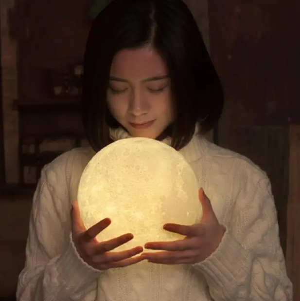 Personalized Moon Lamp with Custom LED Light