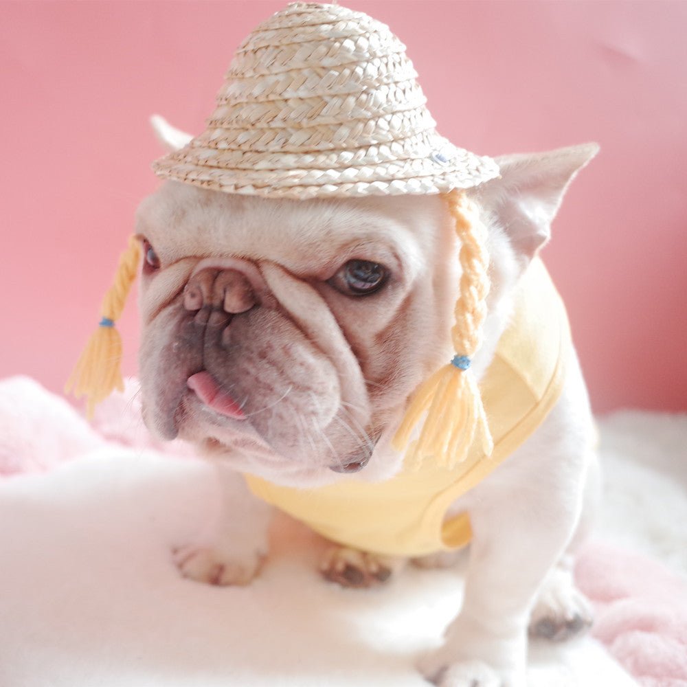 Dog and Cat Double Braid Straw Hat (French Style) - WowStore.live
